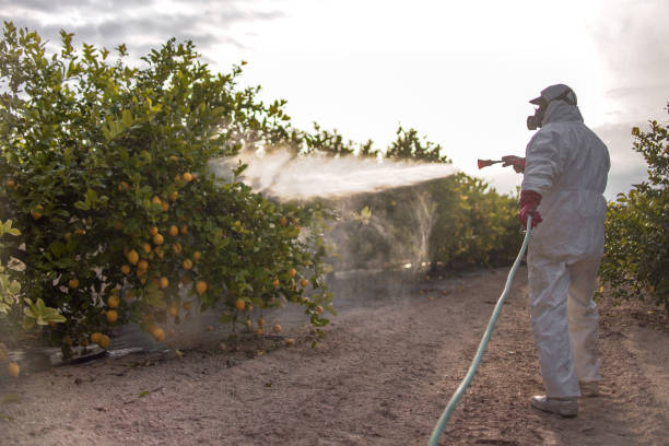 Cassville, MO Pest Control Company