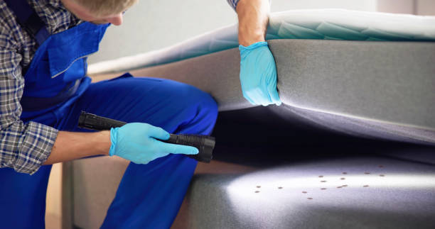 Best Exterminator Services  in Cassville, MO