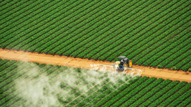 Pest Prevention Services in Cassville, MO