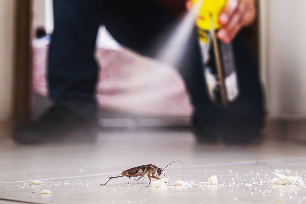 Best Cockroach Control Services  in Cassville, MO